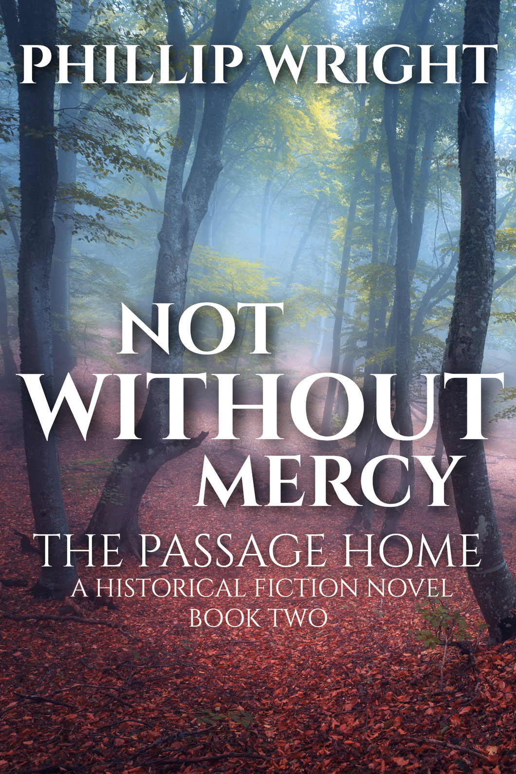 Not Without Mercy The Passage Home   [Book Two] (PAPERBACK )